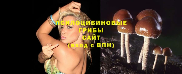 марки nbome Алексеевка