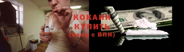 СК Алзамай