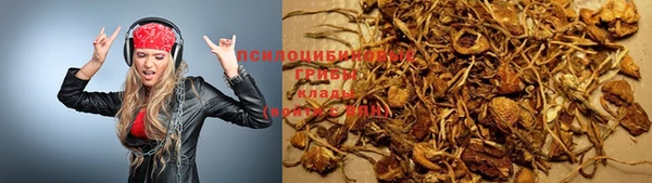 прущий лед Алексин